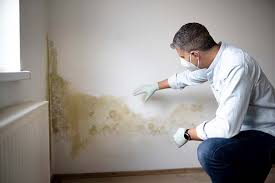 Best Air Quality Testing for Mold Spores  in Rancho Santa Margarita, CA